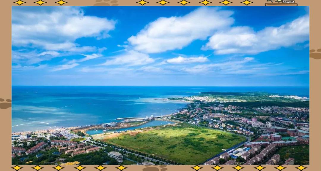 金普新区的财政表现稳定！

金普新区是大连下辖的国家级新区。其经济发展态势是全市