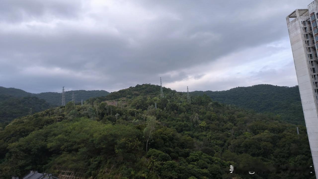 
台风来了。
这个时日来的台风却是少见。
深秋已过霜降，
风是北风，
带着寒凉和