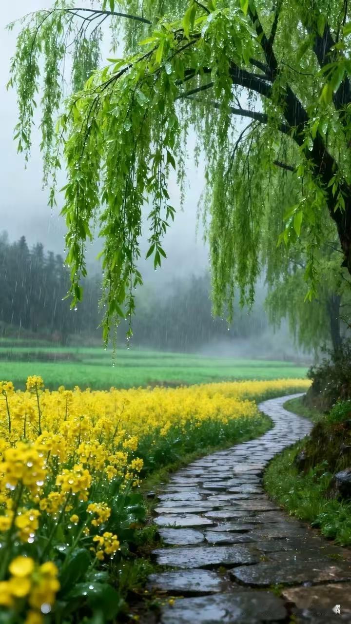 春雨
云低岭暗雨如烟，
密织春帘润早田。
桃李含芳枝上嫩，
柳丝如弦舞风前。