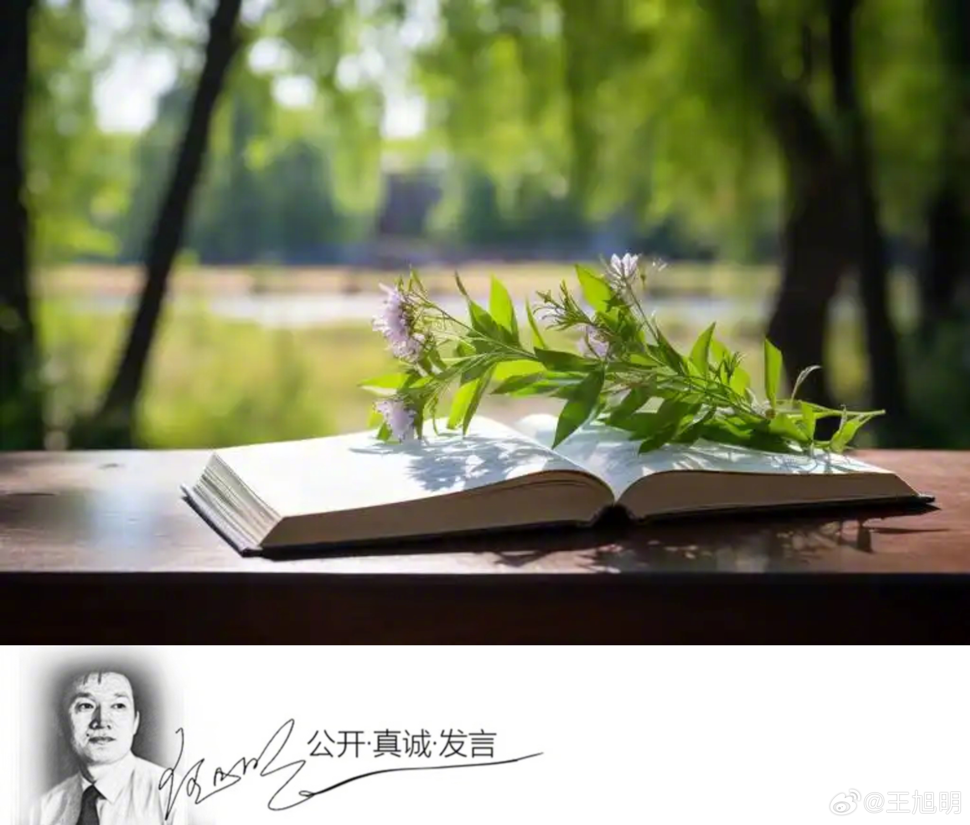 #明说真教育#听一位到处演讲的老教育者的视频说，他越来越看不明白现在的教育教学了