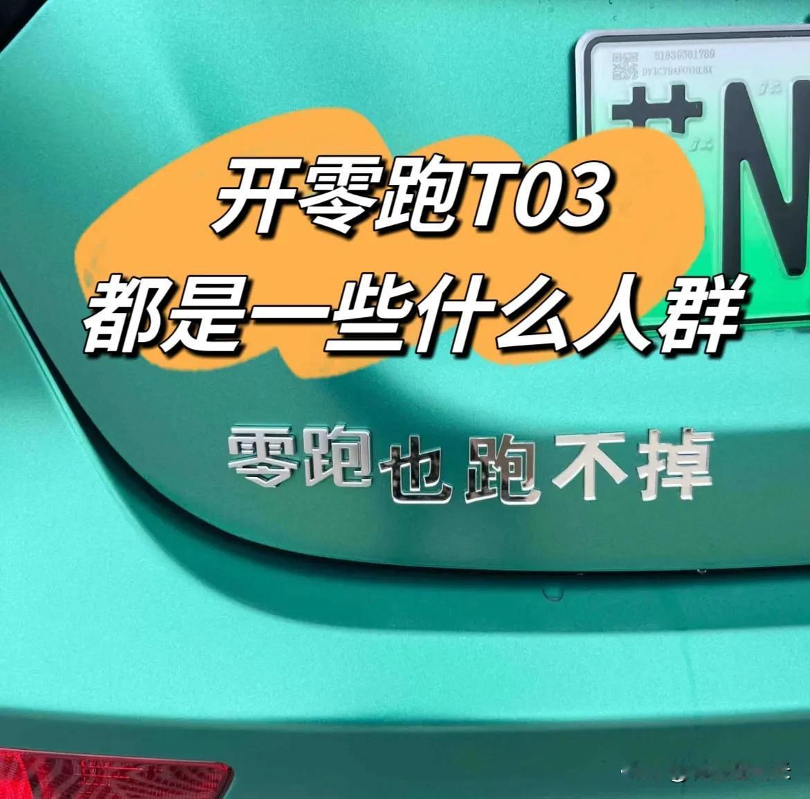 开零跑T03都是一些什么人群

可以说零跑T03覆盖的人群真的很广，有钱的没钱的