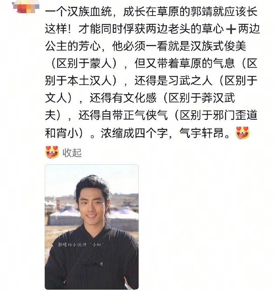 汉人在草原长大，汉人的长相，俊逸无比，但又带着浓厚的草原气息，是习武之人，高大健