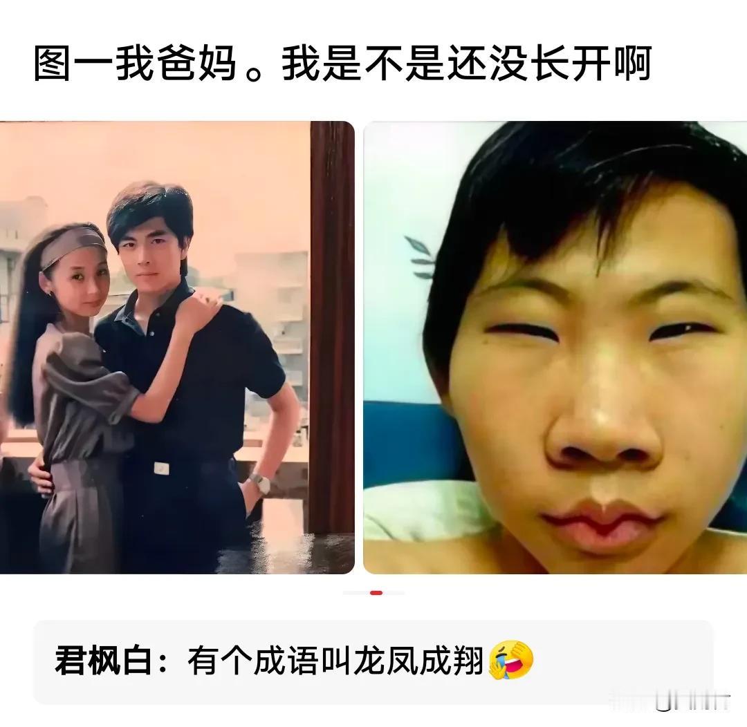 按遗传基因来讲，像爸爸还是像妈妈？