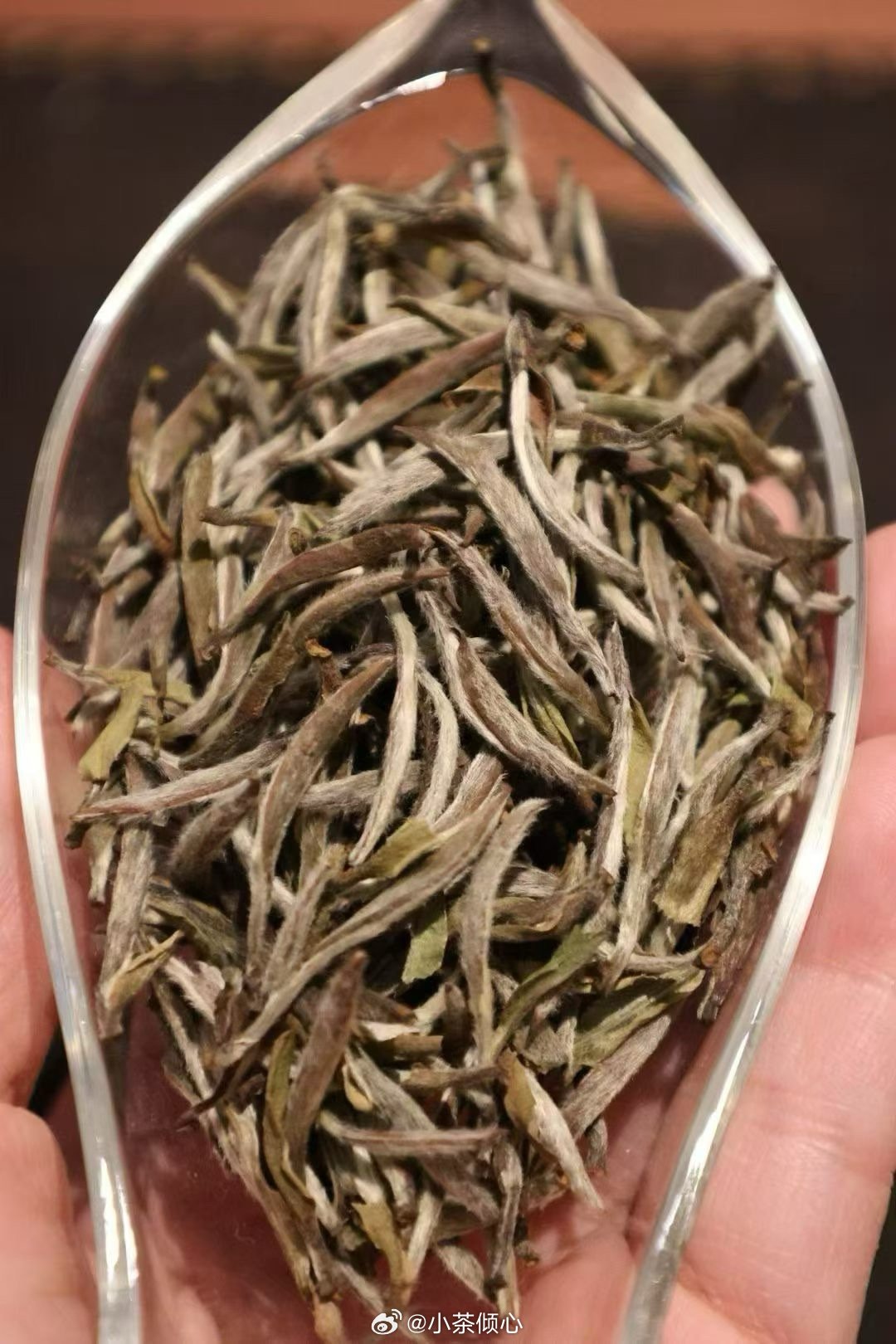 世上从没有凭空降临的好运，所有惊喜都是长久坚持换来的馈赠。珍惜难得韶华，不辜负奋