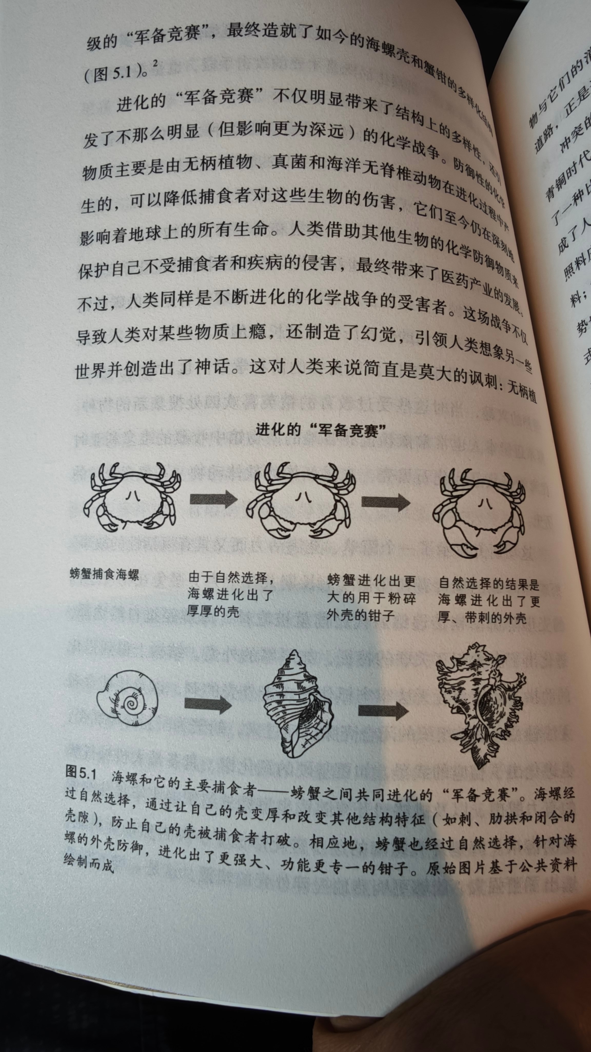 有意思。 