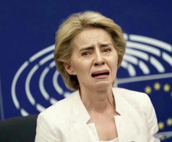 想不明白这么清楚的局面，欧洲人也看得见。但为什么还要持续交恶俄罗斯呢，欧洲人在怕