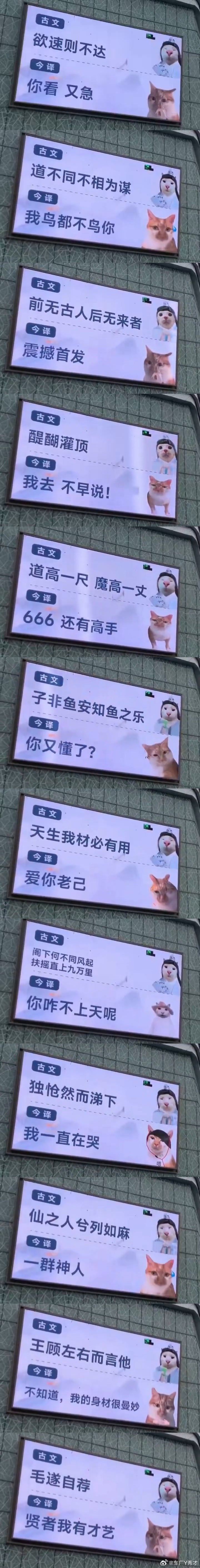 从大学毕业后，就没怎么回过母校，同学们也没组织X年聚会。我觉得这样挺好，毕业后跟