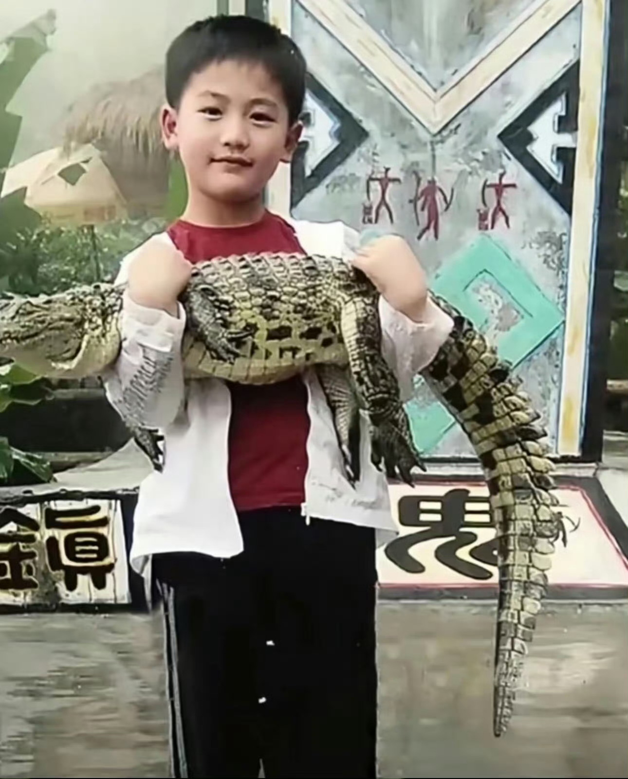 张凌赫不愧是从小抱鳄鱼的男人超萌[笑哈哈] ​​​