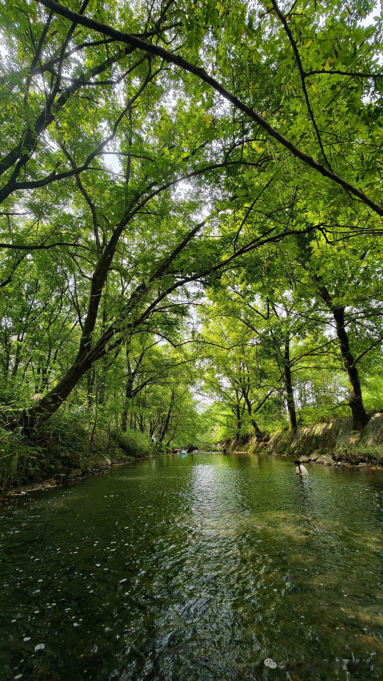 夏日生活打卡季