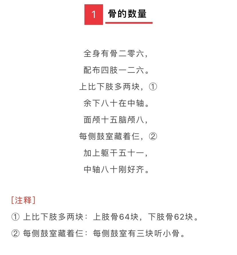 康复学习｜解剖口诀（全）