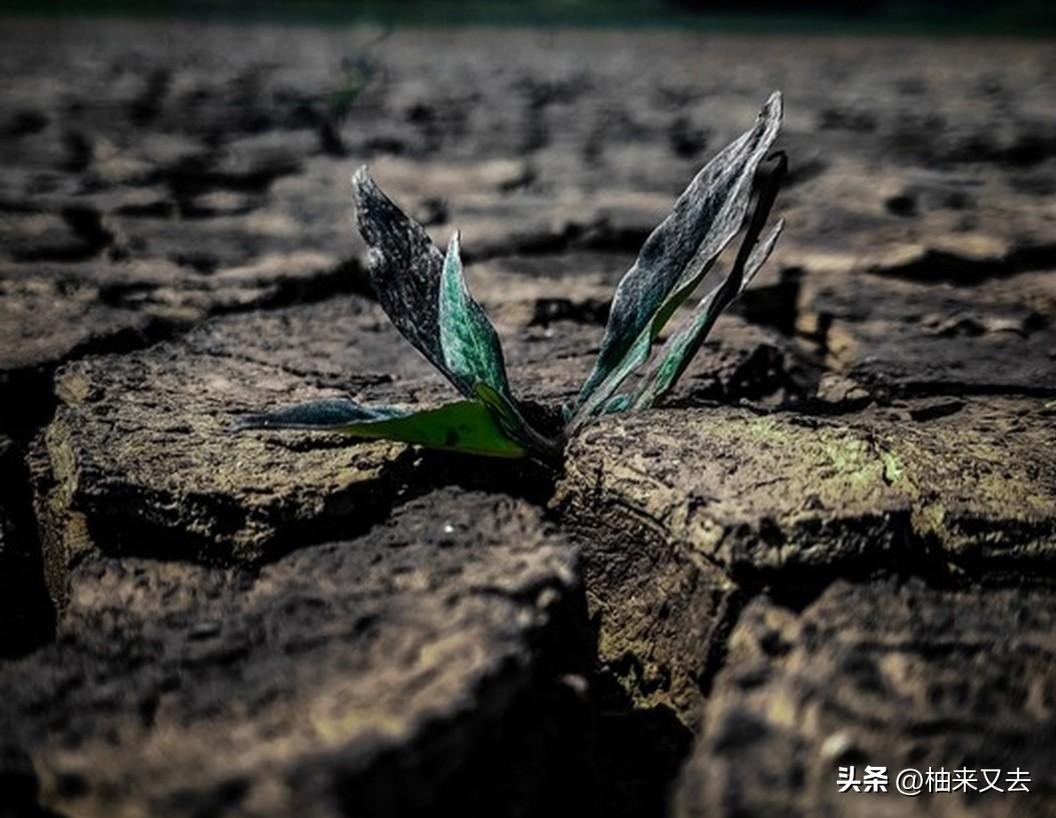 炒股和创业一样，刚起步时都会经历各种挫折，很多人都羡慕我现在的心态以及操作思路，