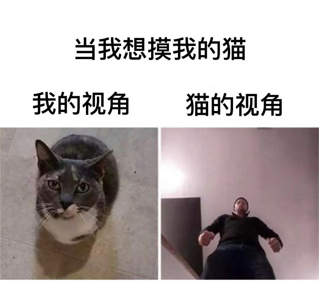 怪不得老躲着我#镜头下的笑容# //#今日memes# ​​​
