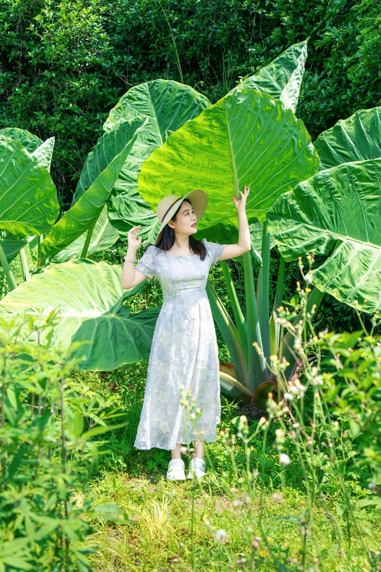 武汉江夏灵山附近发现了一个巨美的花园农场
⛳地址：静谧谷花园农场
🌿配置：花园