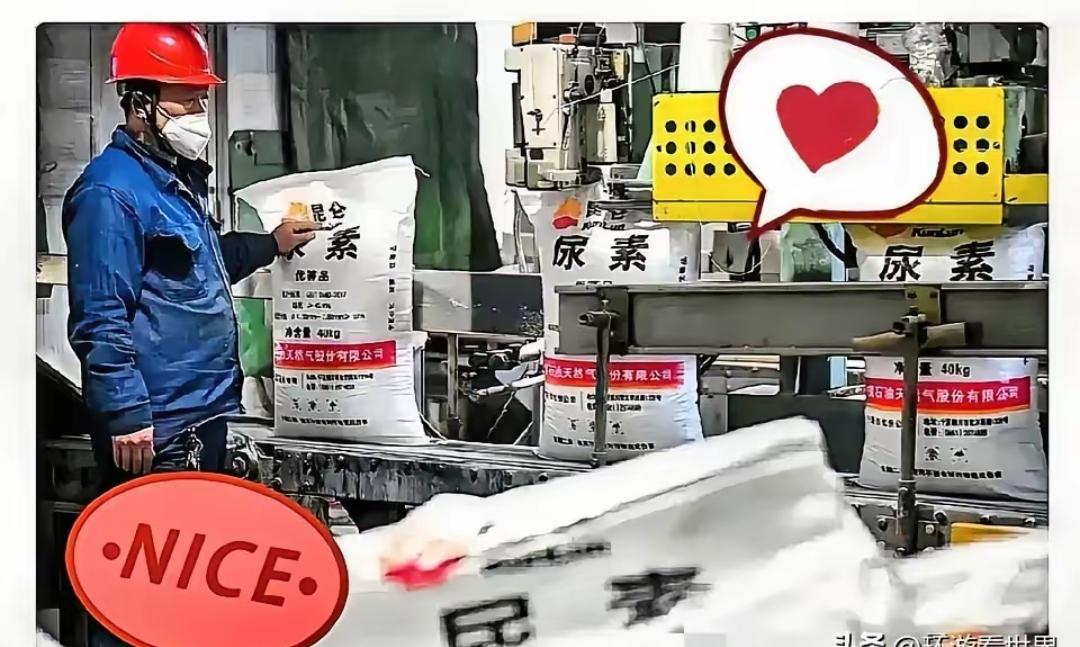 霍尔木兹海峡那边还没消停，谁能想到，咱们西北新疆、宁夏和内蒙的尿素厂却忙得脚不沾