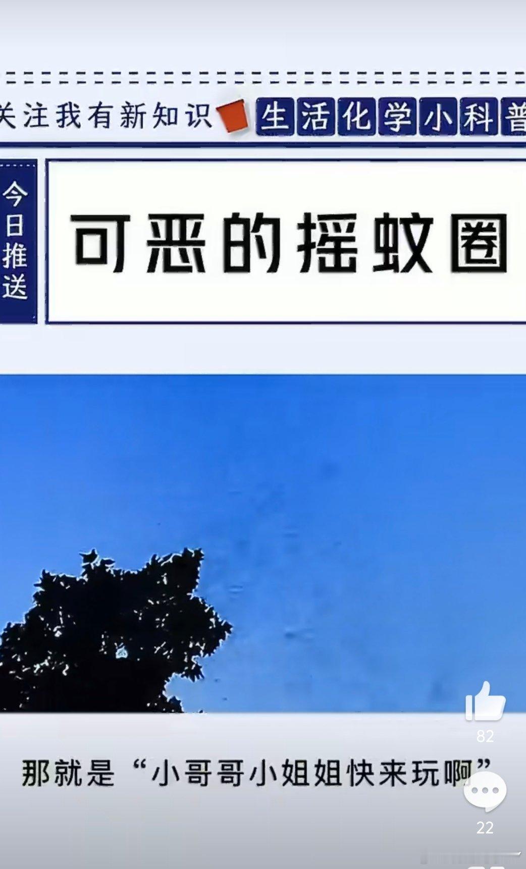 怪不得虫子总围着头顶飞原来是在举办集体相亲活动啊！哦豁又涨见识了，解锁奇奇怪怪的