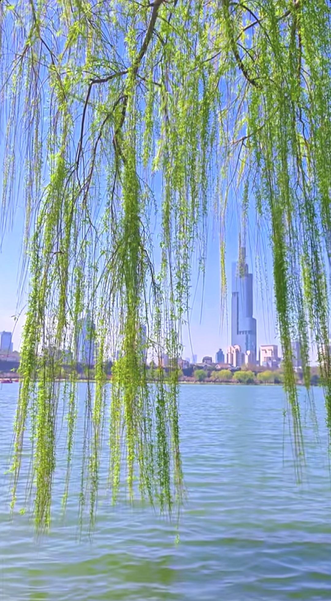 一棹青山远怎样对下联？
一棹青山远，双燕翠柳新。