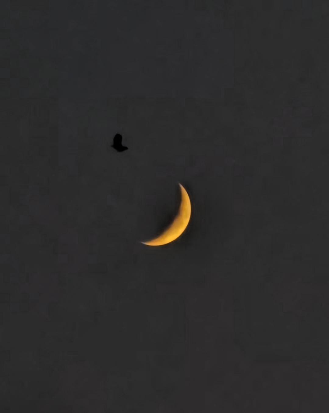 上联：晨风送去西山月，下联是什么日落天边火烧云