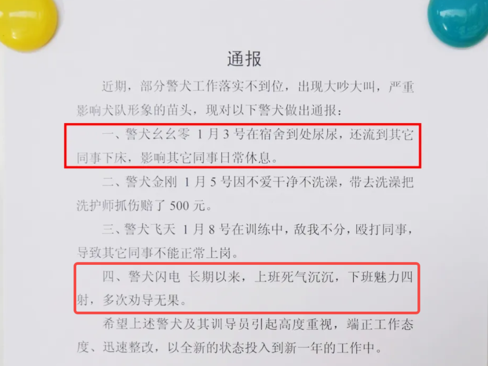 上班死气沉沉、殴打同事、不爱洗澡…一则通报引关注