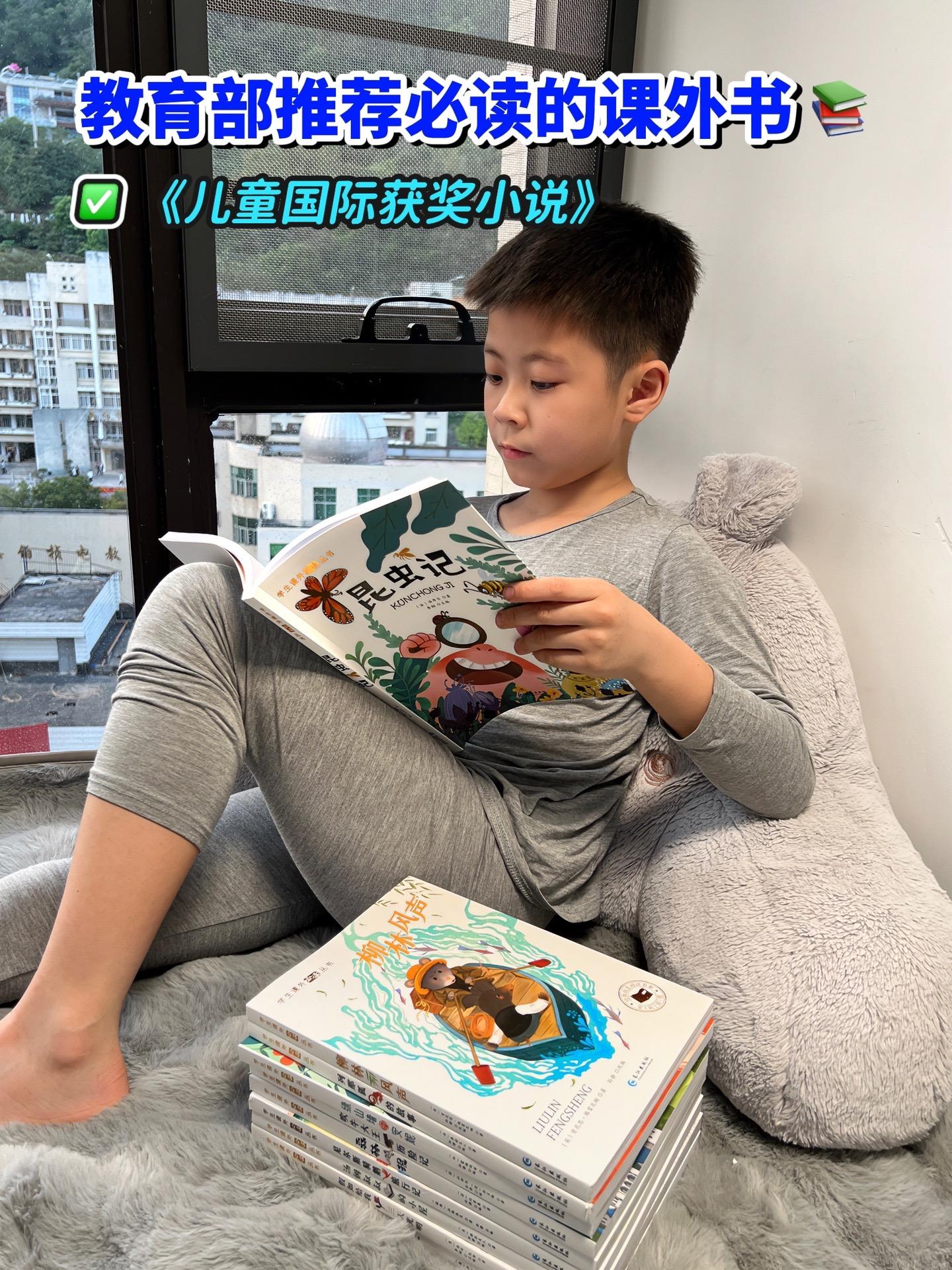 这套全10本《国际获奖儿童小说》太值了，没有一本凑数的！紧跟新课标，是...