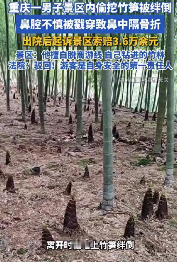 观威海4月27日报道，重庆，一男子景区内偷挖竹笋被绊倒，鼻腔不慎被戳穿，起诉景区