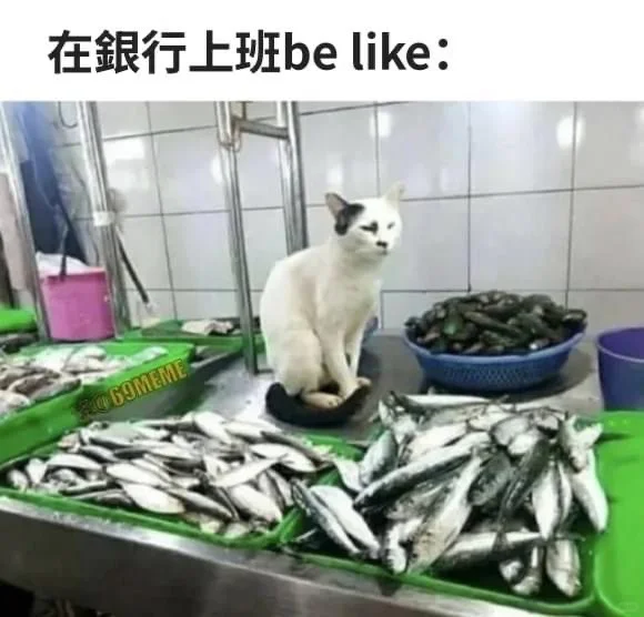 在银行上班be like