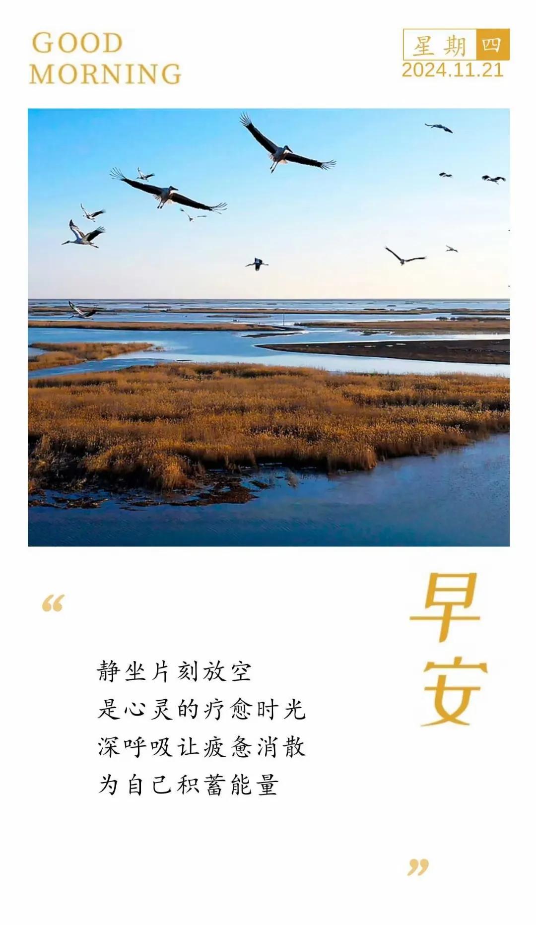 静坐片刻放空  
是心灵的疗愈时光  
深呼吸让疲惫消散  
为自己积蓄能量