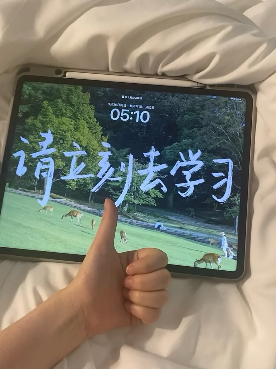 🎈国考报名结束，开启备考征程🎈