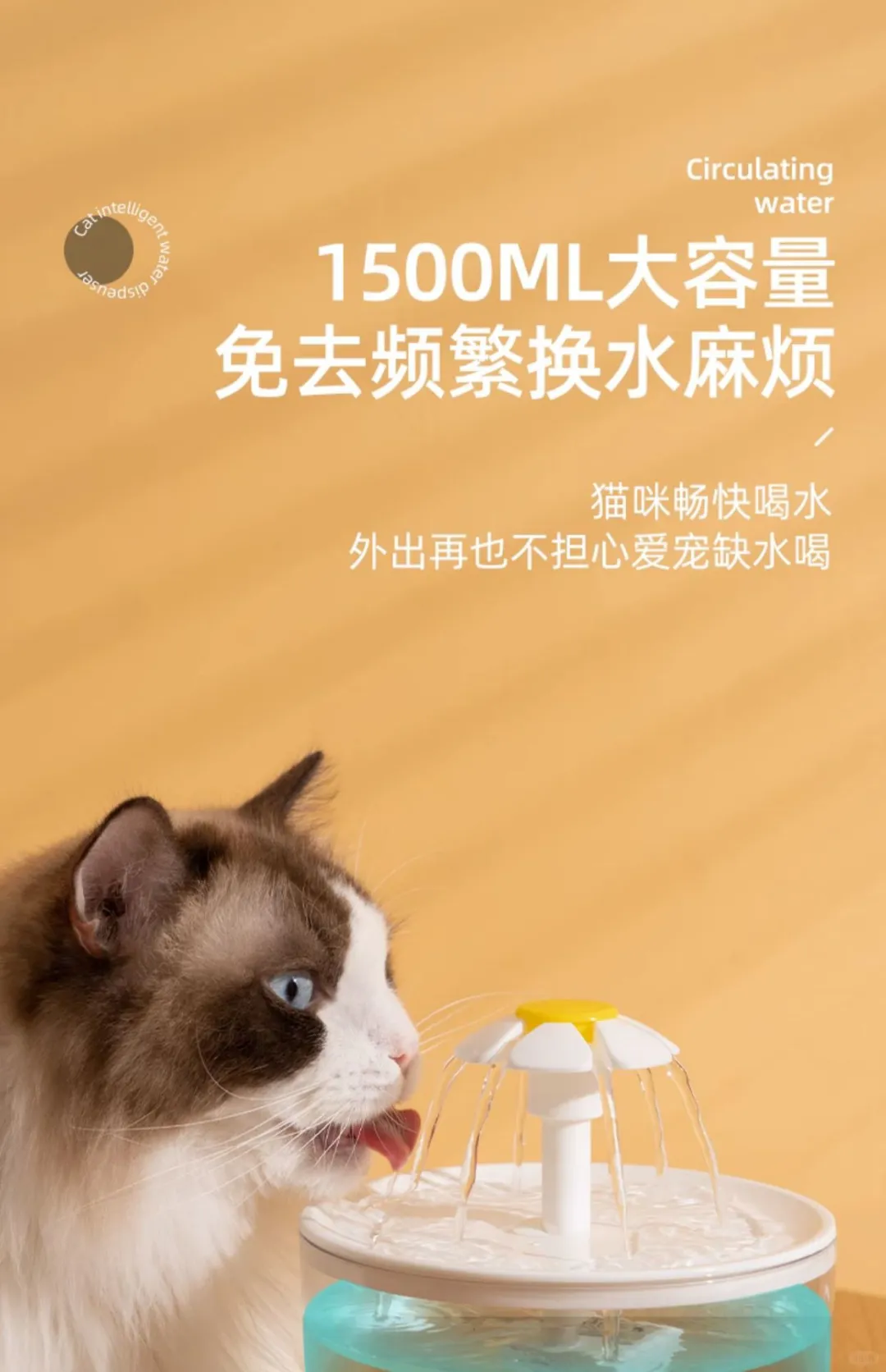 猫咪饮水机🐱自动过滤