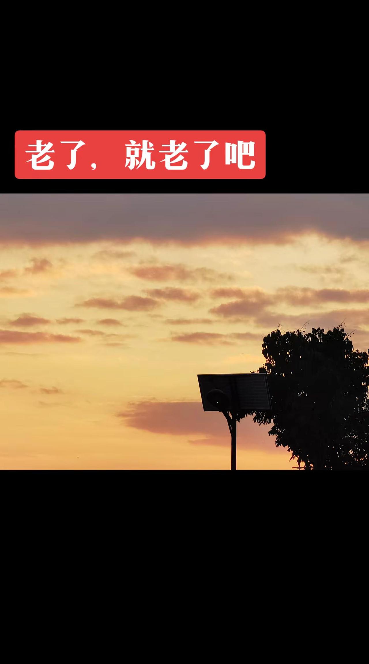 老了，就老了吧。没有人永葆青春没有人不老老了都一样悄不声地无病无灾活着就行相反的