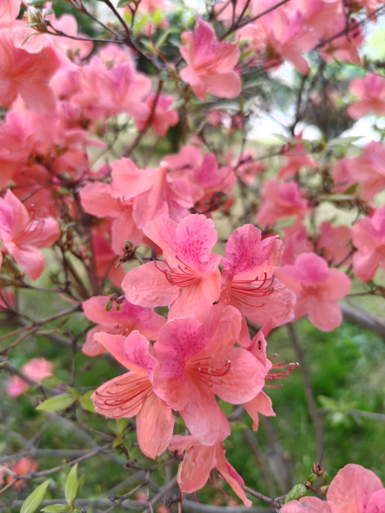 刚刚和同事一起锻炼，同事告诉我，她已退休一年了，她们单位会计才给她打电话说，要让