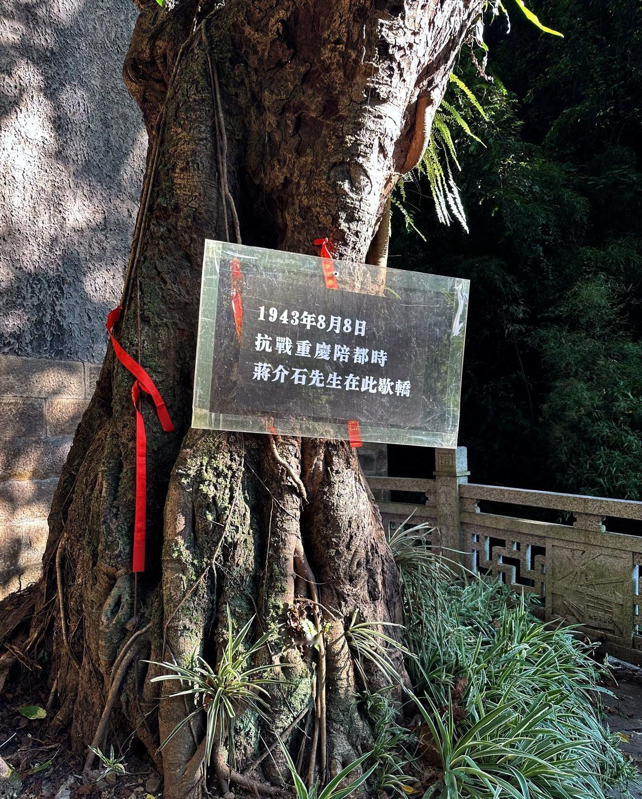 🏠名称：「清水溪步道」
🚇地址：重庆市南岸区一天门街
🕑开放时间：全天开放