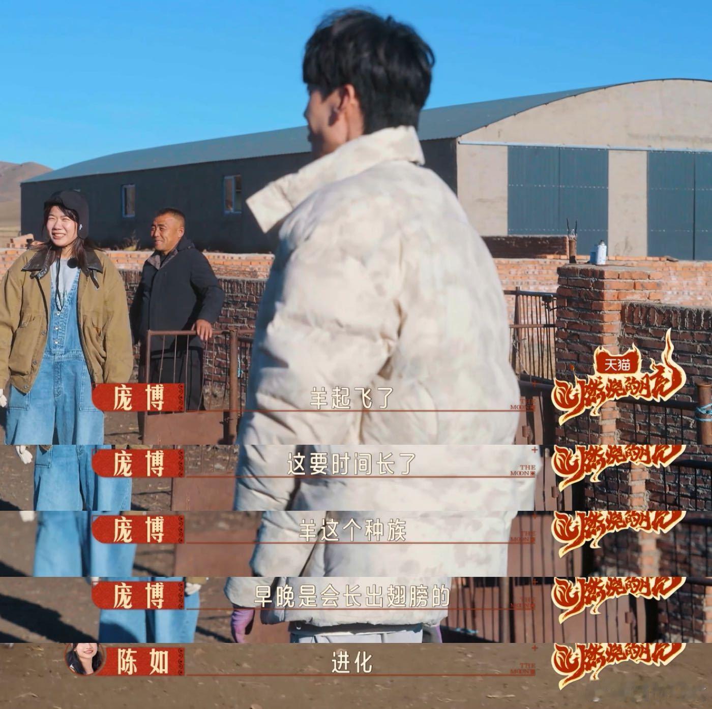 庞博搞得定代码搞不定羊  燃烧的月亮  庞博哥来了！代码天才在草原上抓羊，结果羊