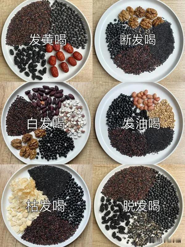 千万别喝太频繁｜怕你头发养太好
#淮山黑米豆浆# #板栗红枣黑豆浆# #补脑豆浆