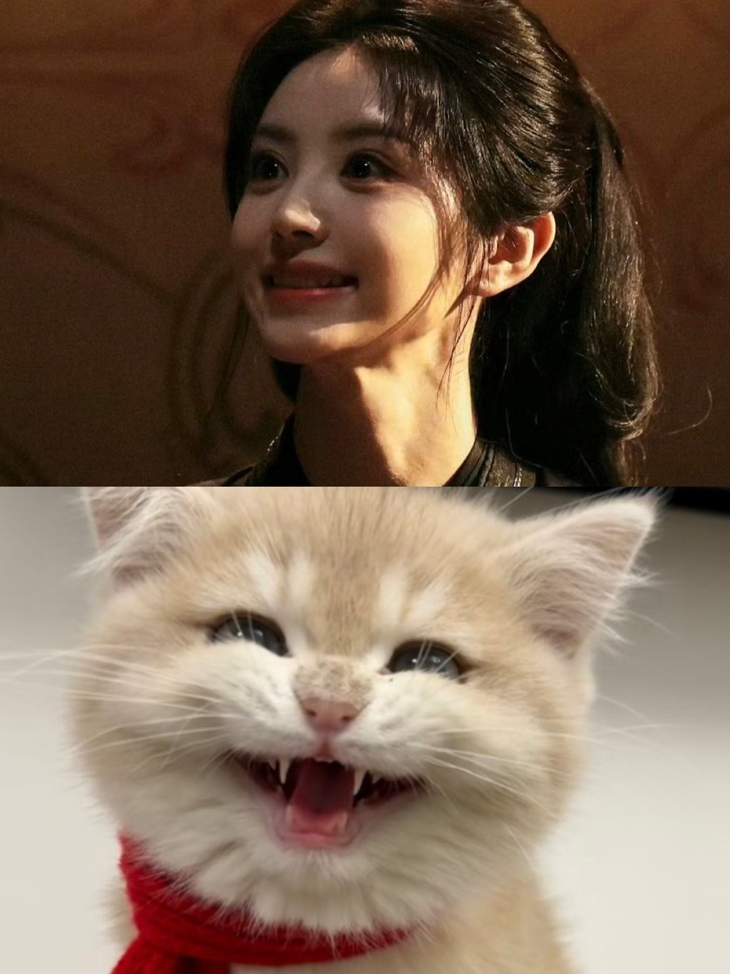 小猫咪 ​​​