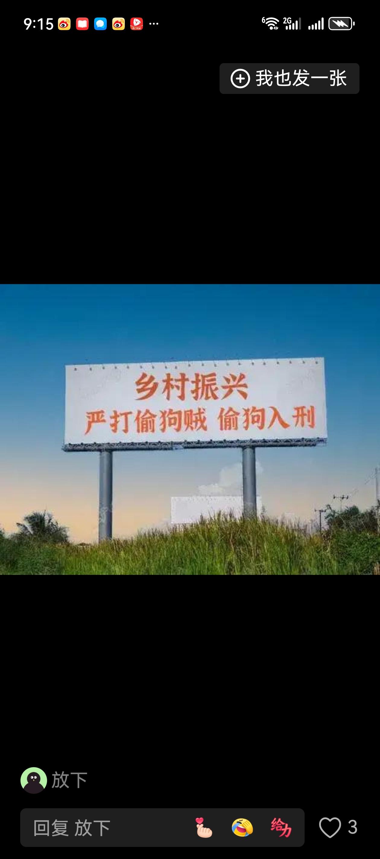 看到一块大大的宣传牌上书：
乡村振兴，严禁偷狗，偷狗入刑。
我总感到这宣传牌子上