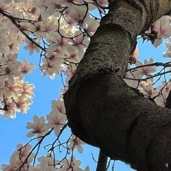 每日一善‎每日一善 ‎阳光‎信用 在人生的旅程中，每个人的生活都离不开别人的帮助