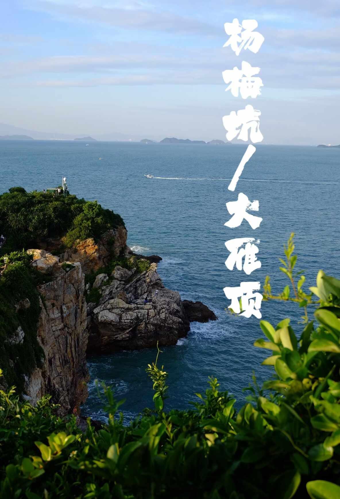 深圳户外日常｜杨梅坑/大雁顶，寻人鱼踪迹
📅2024.10.03 东涌社区➡️