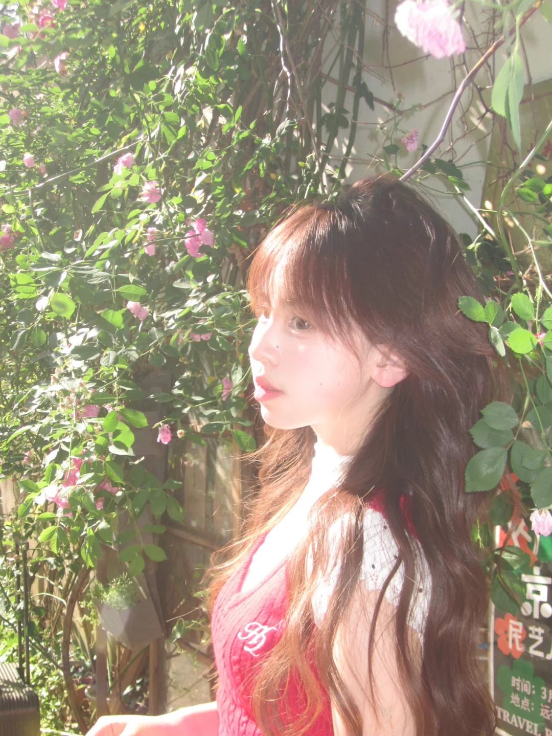 盛夏₊ ‧ 🫧  .⋆ ｡