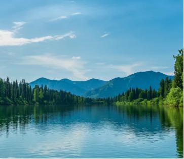 心理学上说：极度坦诚的人其实很可怕：开始，你可能觉得他傻、性子直，但慢慢会发现，