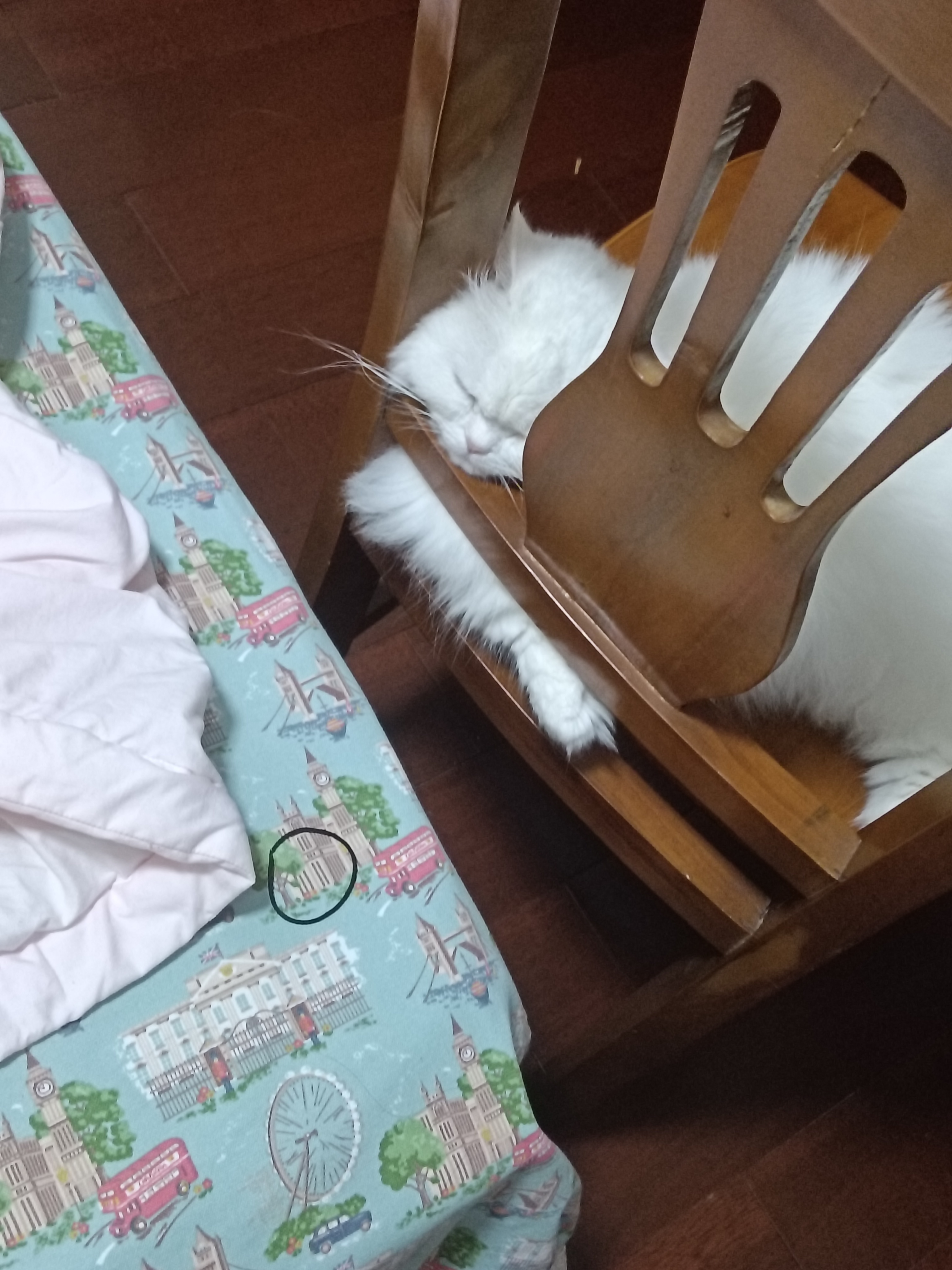 今天又要干什么蠢事和坏事呢 