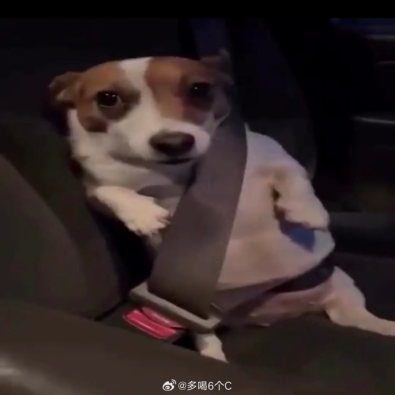 大脑被手机吞噬到点回桌面的一瞬间就忘记自己要点开哪个软件要干嘛了。 