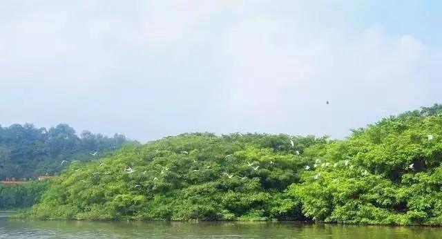 中国不惜投资1.8个亿，在2公里的高铁上修建隔音棚，外国的网友对此非常不解，还说