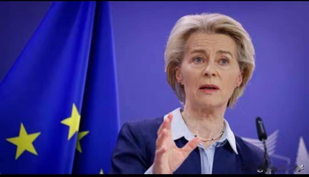 说欧洲人钱多人傻一点都不过分，明明可以买到家门口的廉价燃气跟石油，偏偏要在严寒中