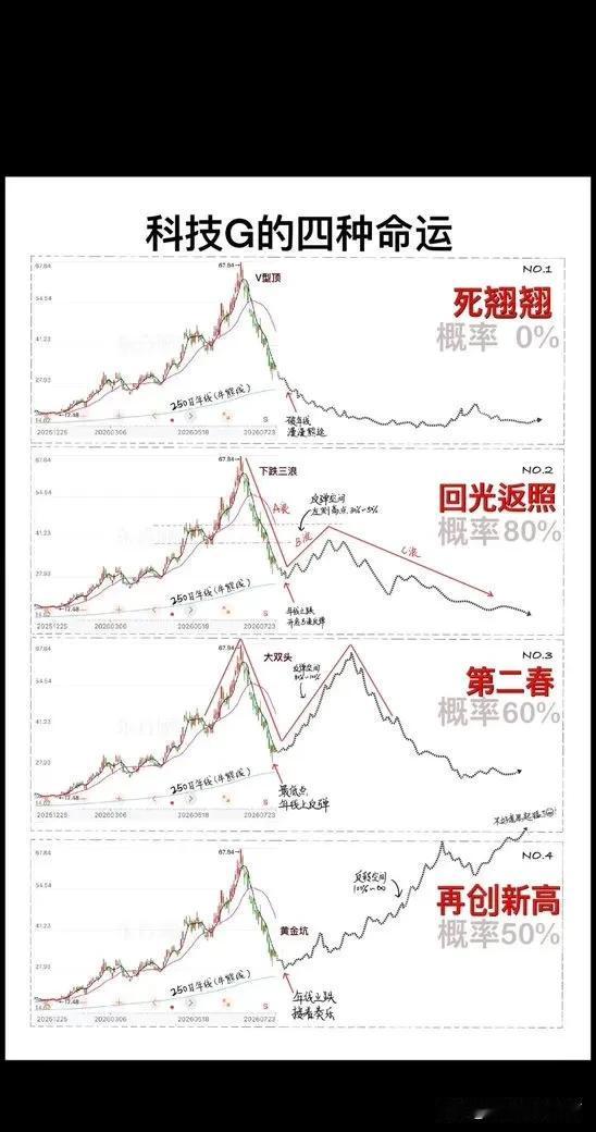 科技G的四种命运与可能，你认为那一种可能性最大，个人感觉，首先排除1和3，2和4