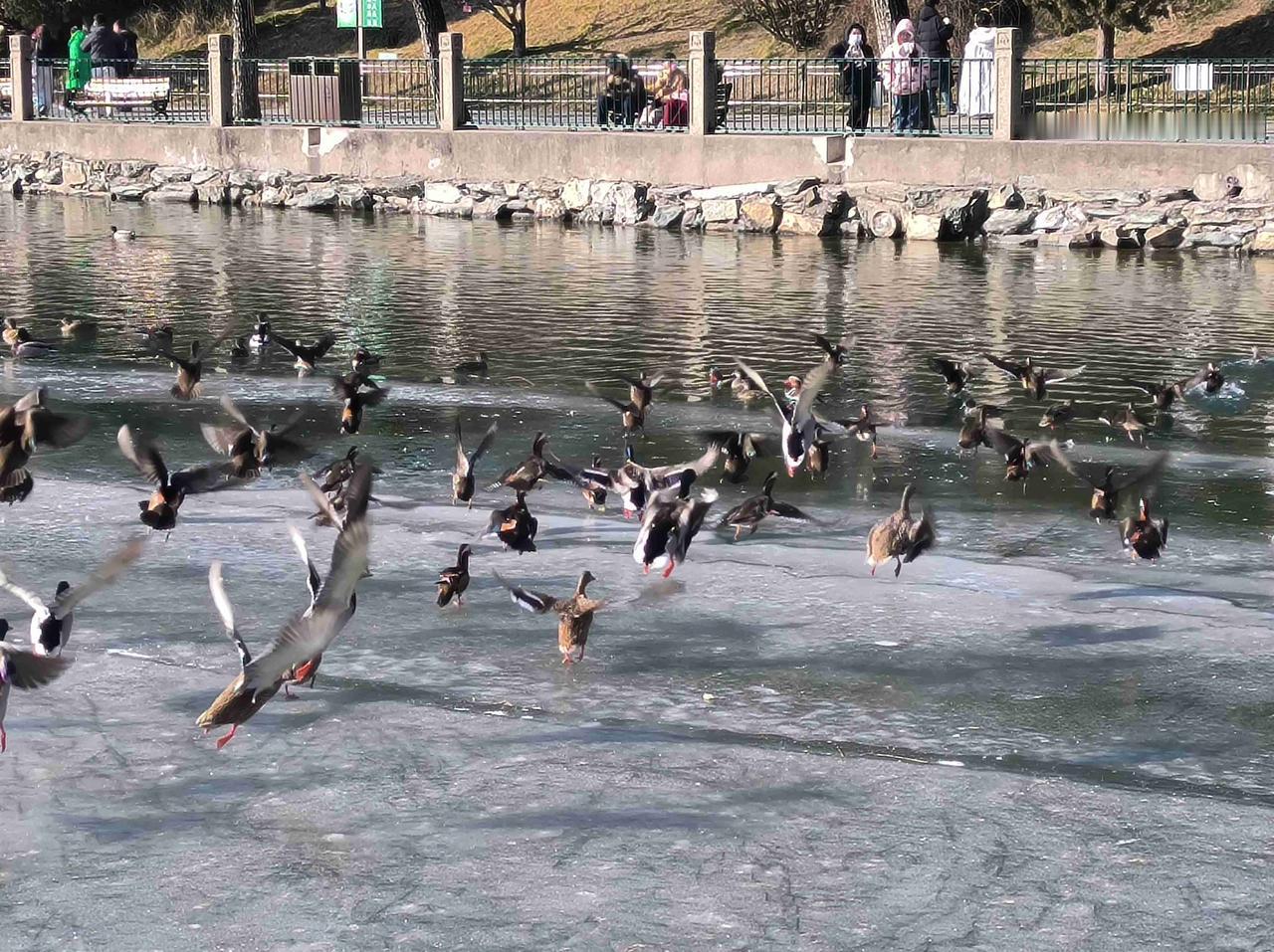 我的今日状态：🏃‍➡️运动
我这里的天气：☁️阴天