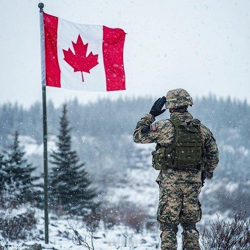 突发新闻：加拿大计划对美国发动“游击战”——彭博社 加拿大已针对美国可能的入侵情