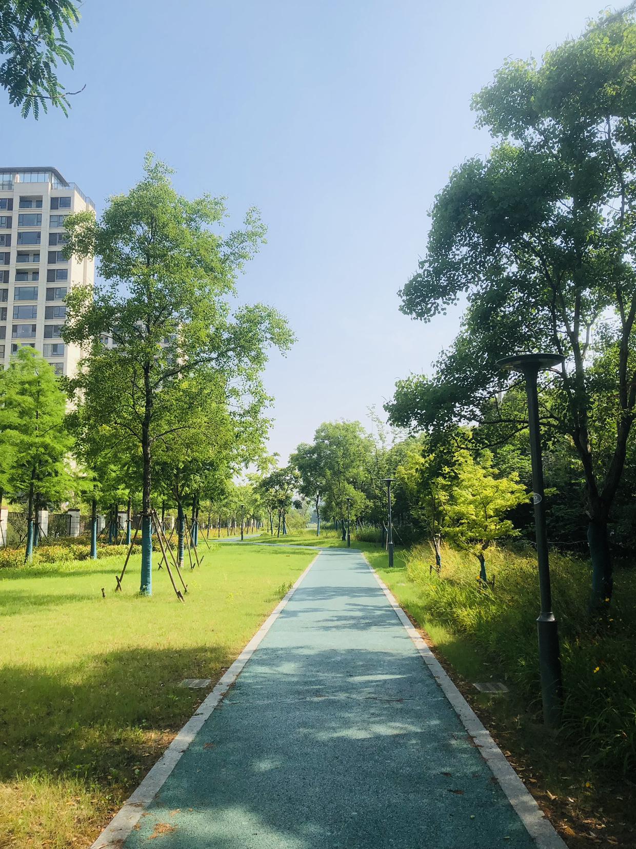 我的今日状态：😁轻松愉快
我这里的天气：☀️晴天
今天常州晴空万里，一点雨都没