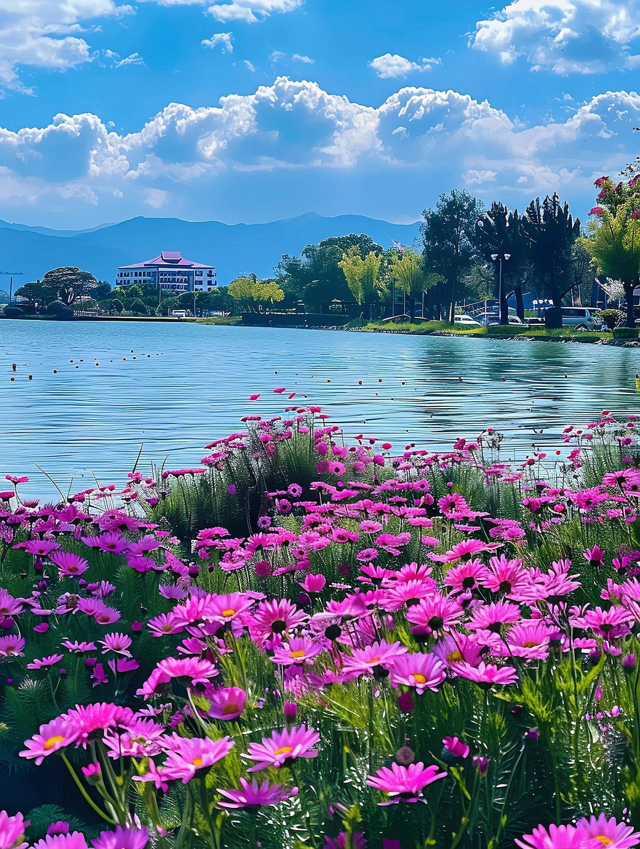 #上联：踏春夏秋冬路，
请你对下联#
《湖边紫菊》
湖边紫菊韵悠扬，
摇曳秋风绽