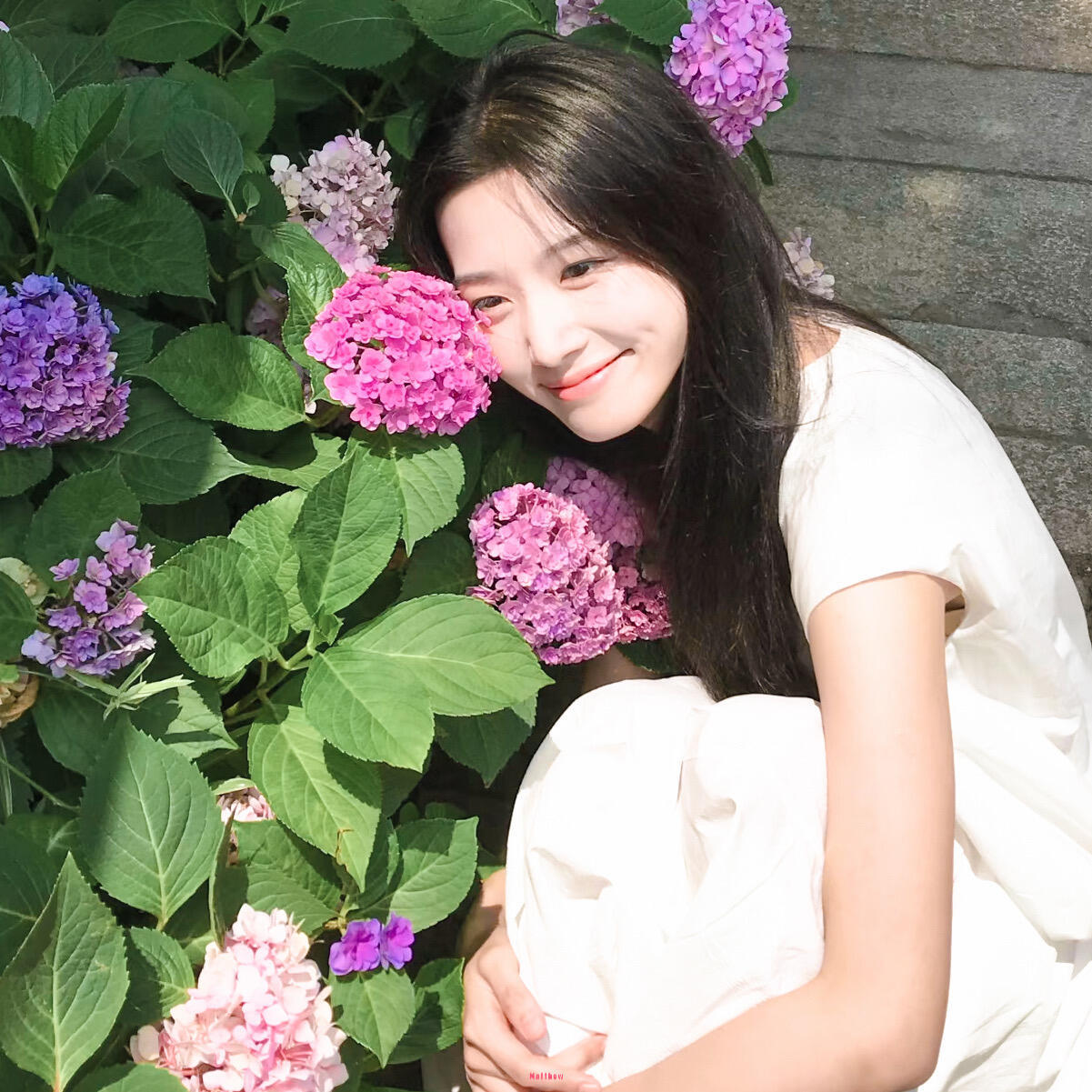 -𝐒𝐇𝐀𝐑𝐄｜卢昱晓头像背景图搭配 ⸝⸝💐꙳🎨◟🍀。 
