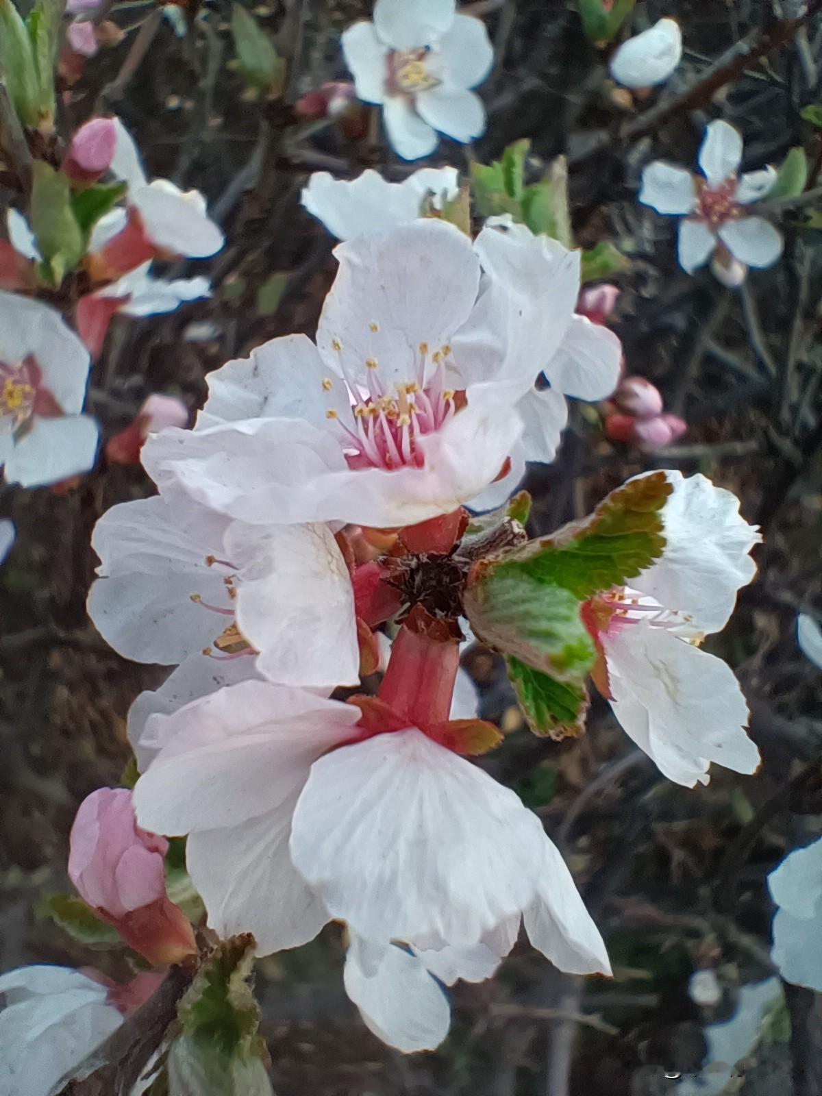 人生路漫漫，从来无人能护你一生周全，世间万般风雨，终究要靠自己摆渡。

别纠缠过